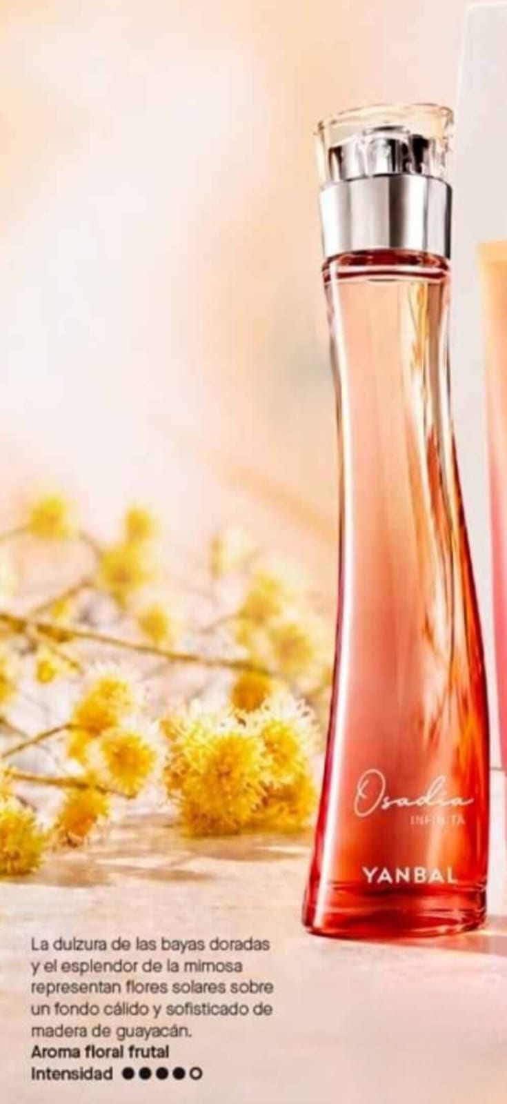 Perfume Osadia Infinity Yanbal